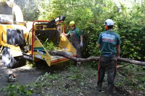 tree services Limestone Creek